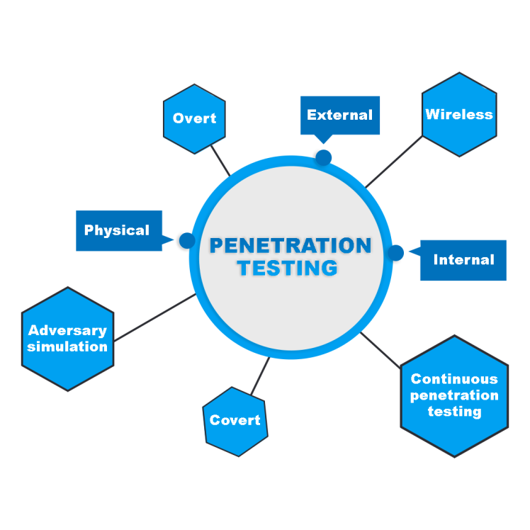 تست نفوذ شبکه چیست؟ | راهنمای کامل امنیت سایبری برای سازمان‌ها | واریان شبکه گستر